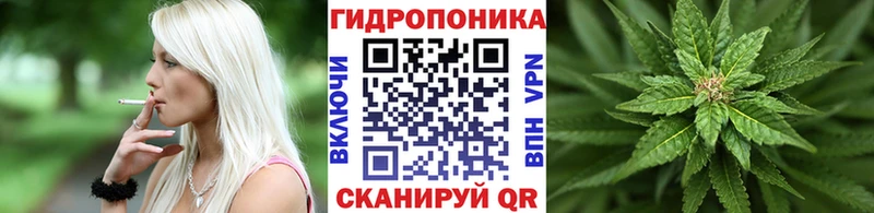 Каннабис сатива  купить   KRAKEN ONION  Тверь 
